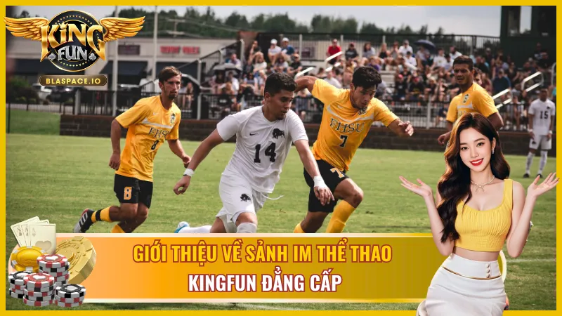 Giới thiệu về sảnh IM thể thao đẳng cấp